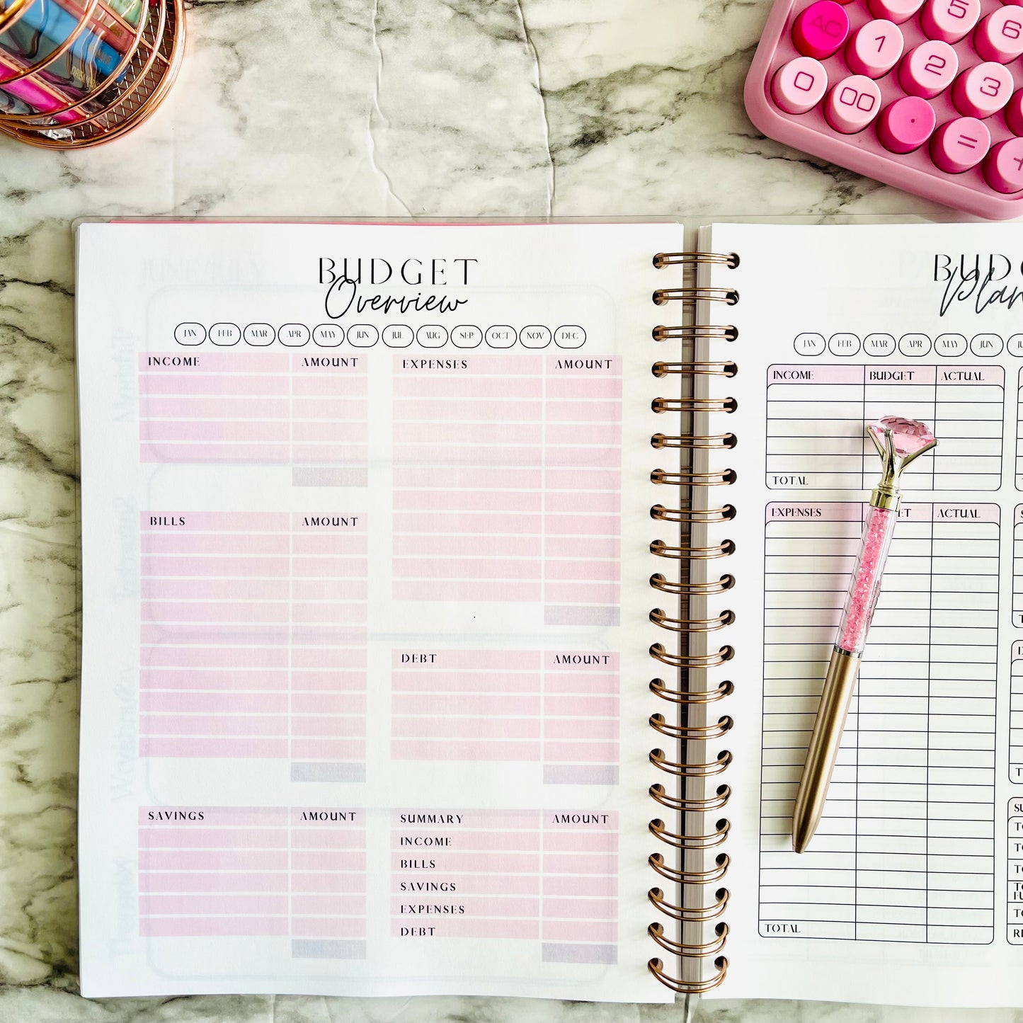 Watch Your Savings Multiply - Budget Planner
