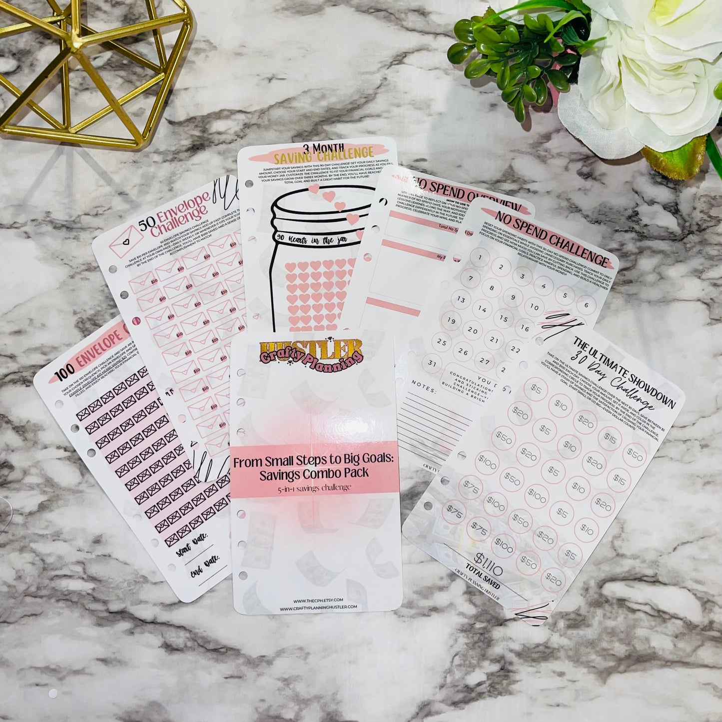 Small Steps to Big Goals - Savings Challenge Binder