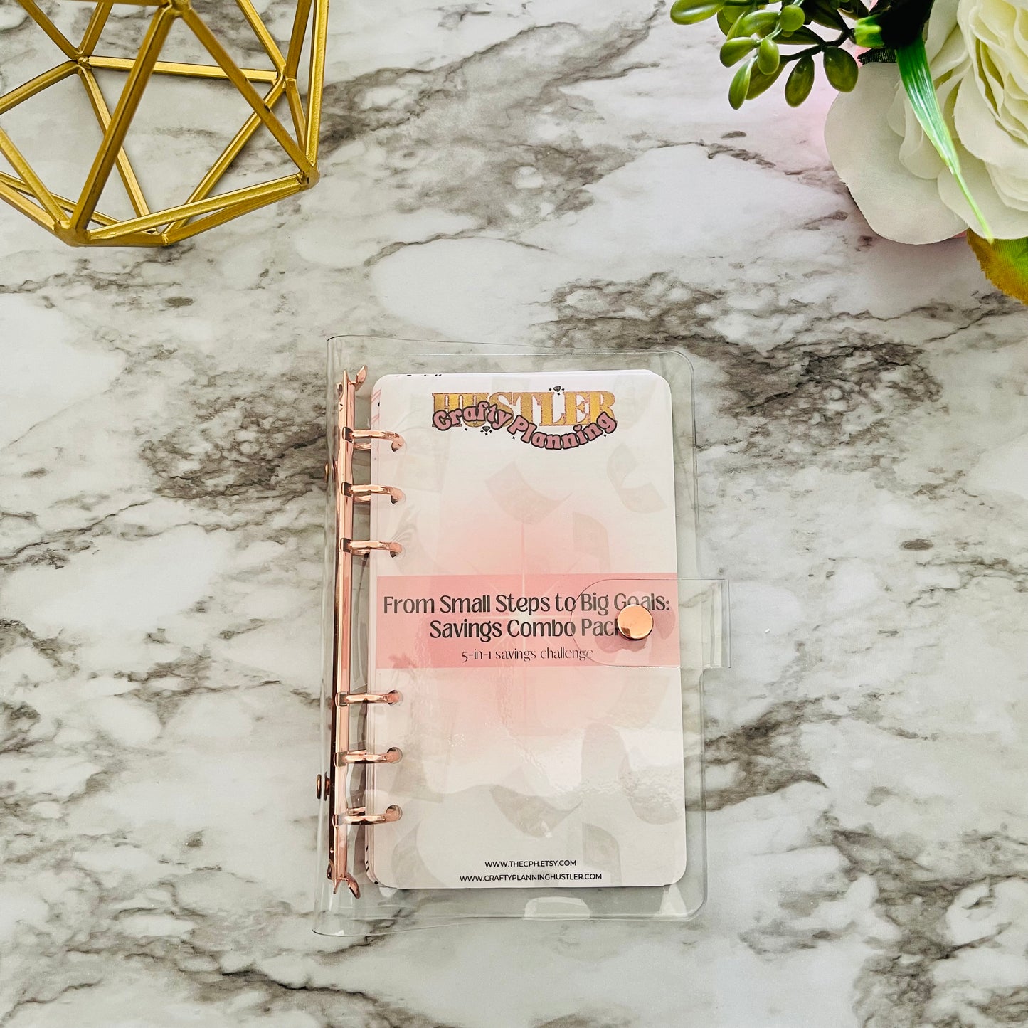 Small Steps to Big Goals - Savings Challenge Binder